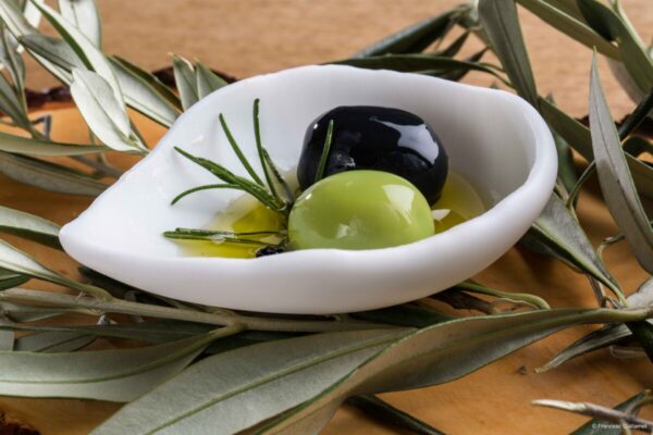 Disfruta-de-la-aceituna_Francesc-Guillamet
